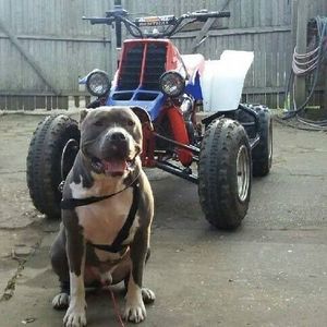 Meet your Posher, Dakota